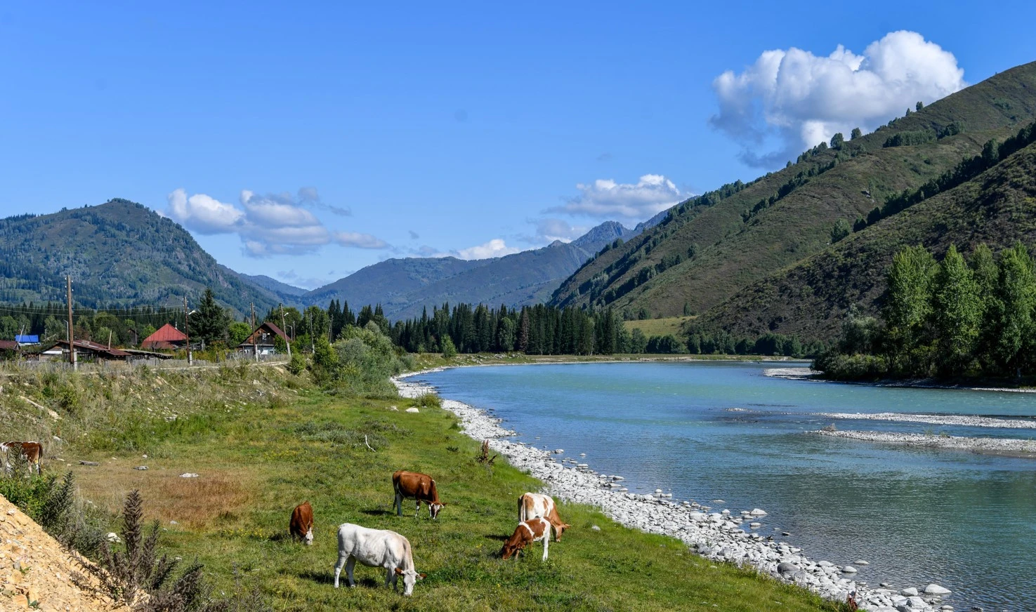 Бірлескен істе береке бар