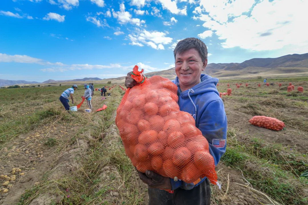 Жетісудағы жүйелі жұмыс