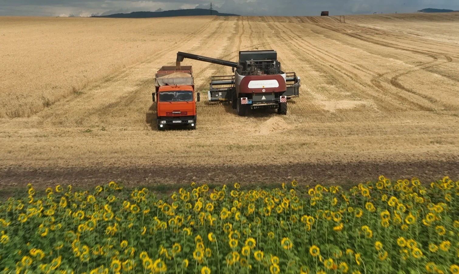 Aitas Agro: Күрделі жыл болса да күтеріміз көп