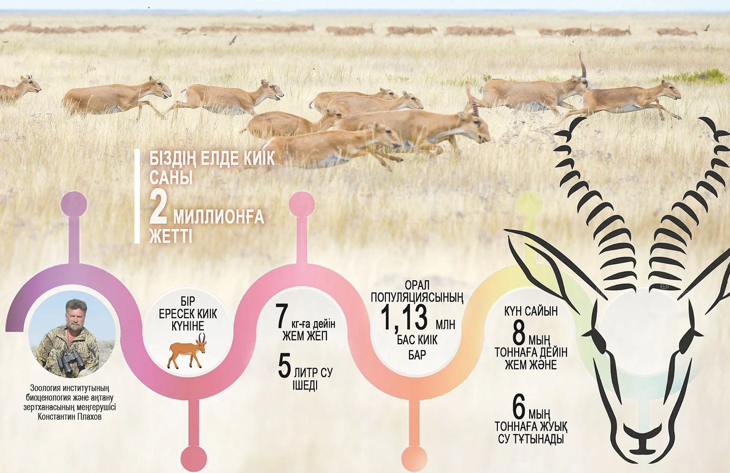 Жезкиік, біздің жаққа бекер келдің...