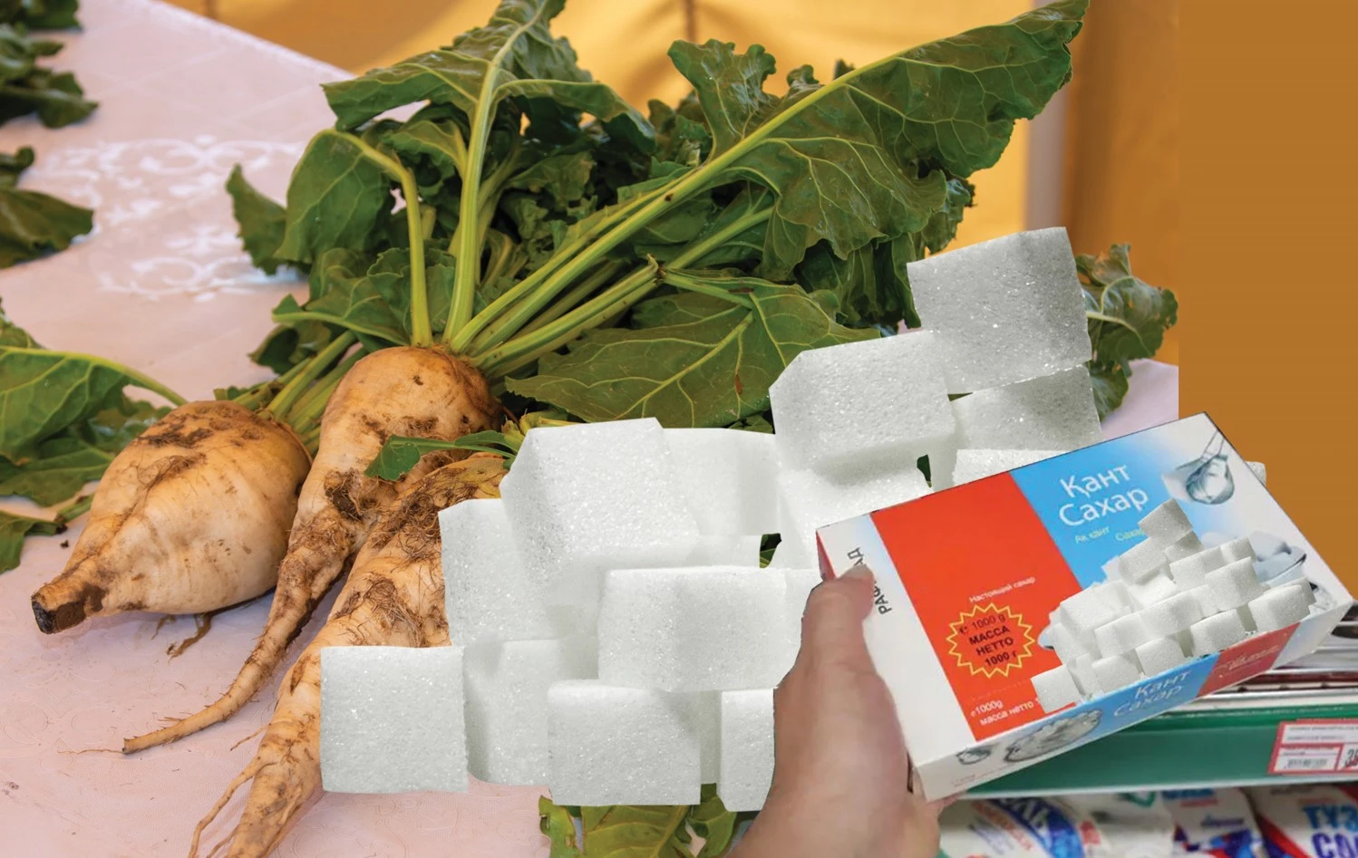 Қант тудырған қауіп