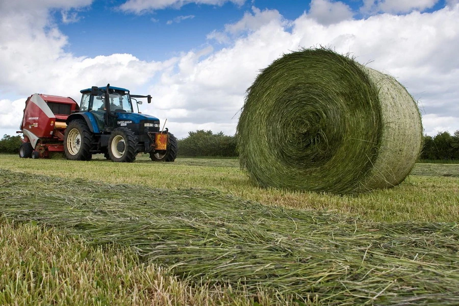 Жамбыл облысы: Қыстан қысылмайды