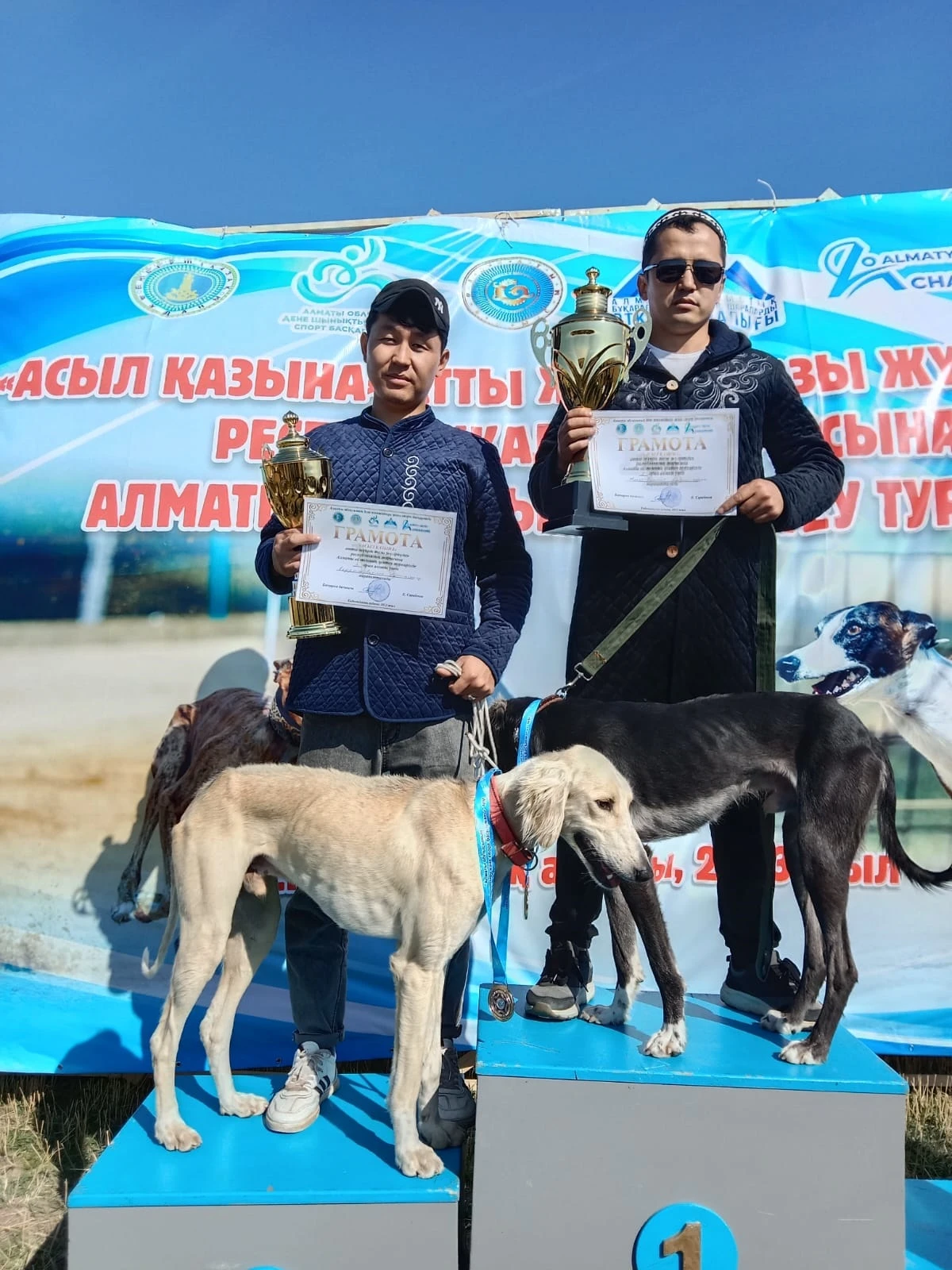 Тазылар жарысы