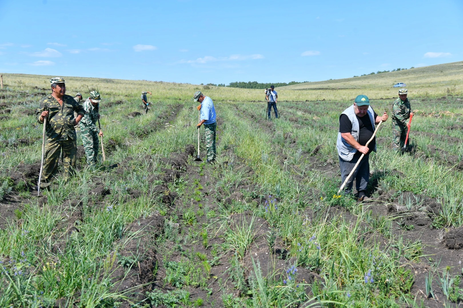 Жаңаарқаның жасыл алқасы