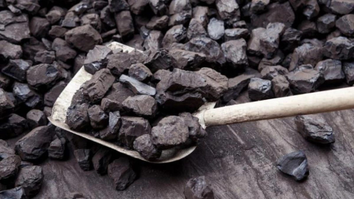 Солтүстік Қазақстан облысы: Отын нарқы ойнап тұр