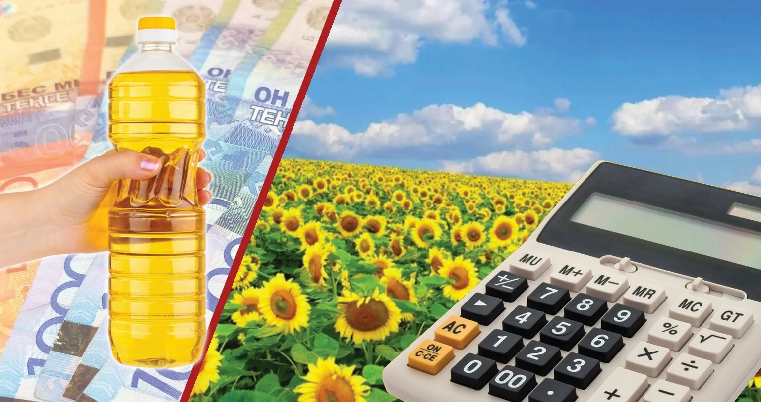 Баж салығы қайта байыпталса