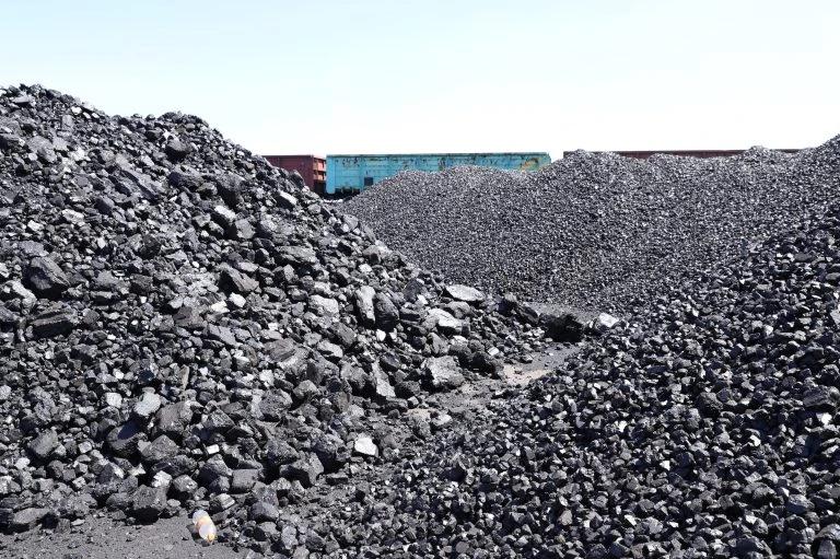 Көмір таппай ел дал, қызығын көрген делдал