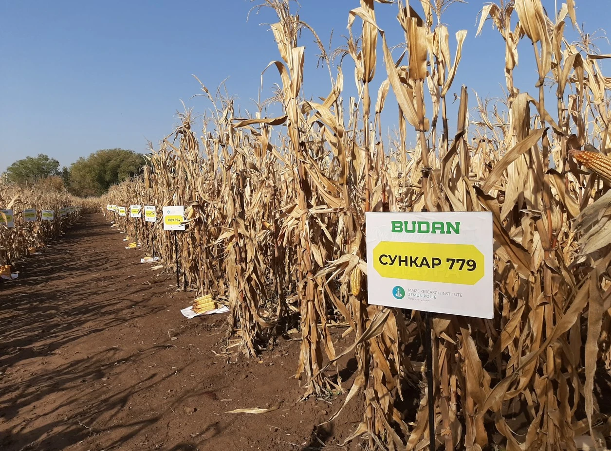 «Дала аруына» талап жоғары