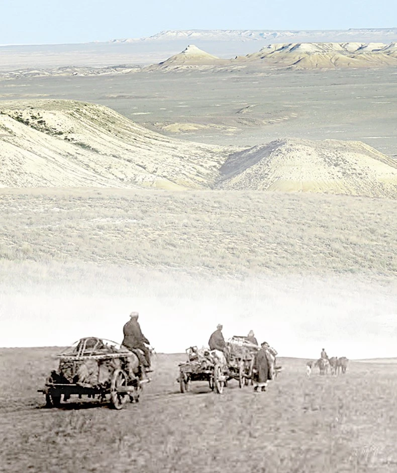 «Аққоянның жұты»