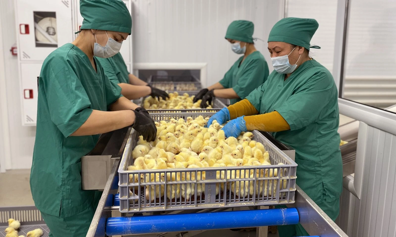 «Ауыл аманаты» қалай орындалып жатыр?