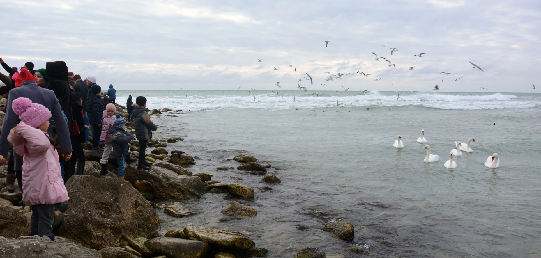 Каспий тайызданып барады