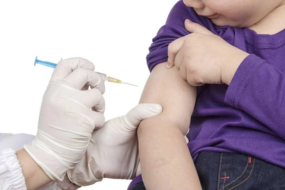Қызылшаға қарсы вакциналау басталды