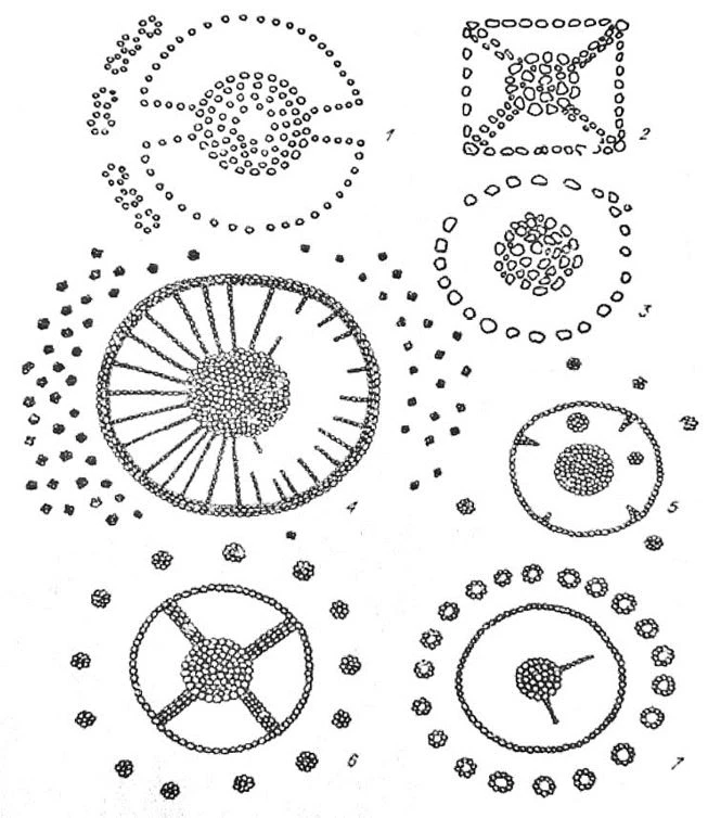 Скиф/сақтан қалған ұлы мұра