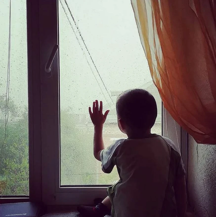 Кәсіби отбасы балалар үйінің орнын баса ала ма?