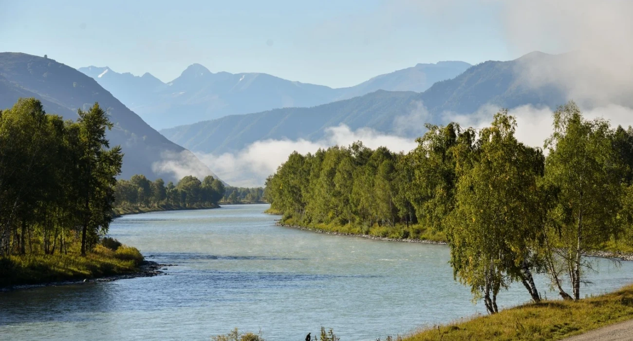 Алексис Техастың фильмдерін онлайн көріңіз