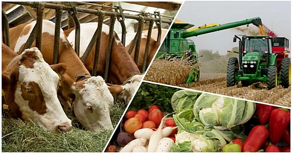 Қазақтың құты – ауылда