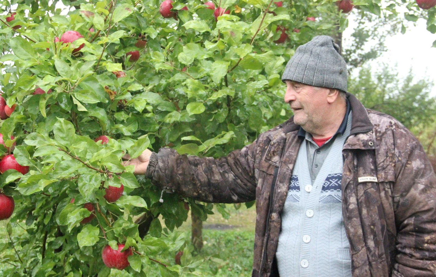 Баққа да бап керек