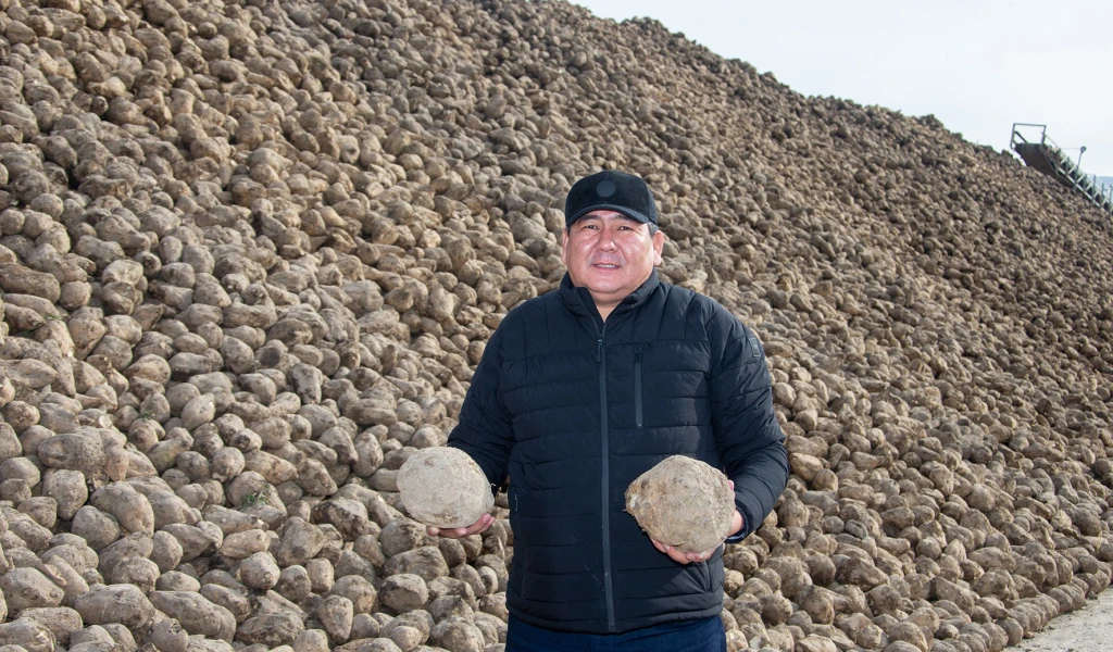 Ақсу қант зауыты қайта ашылды