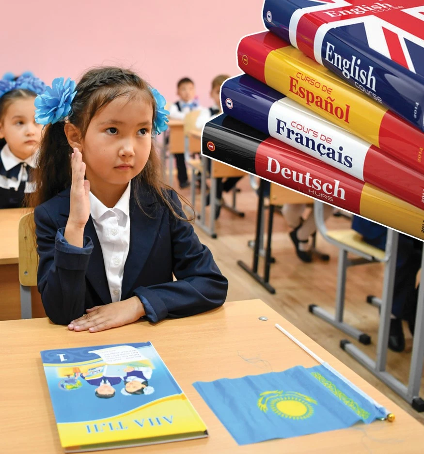 Мемлекеттік тіл мәртебесі: шетелдік тәжірибе