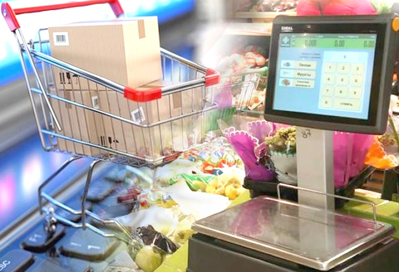 Тұтынушылардың құқығын қорғау