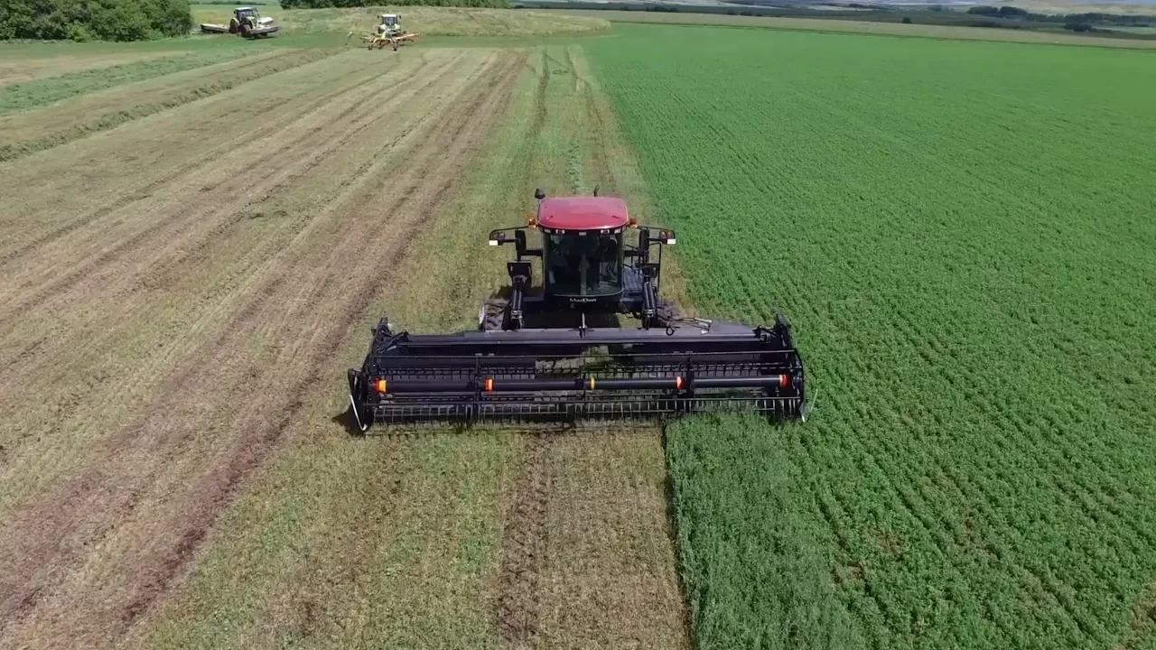 Мәселесі көп маңызды сала