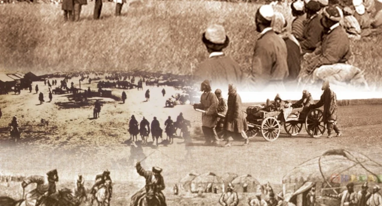 Жыртылған қынаптардың фотосуреттері