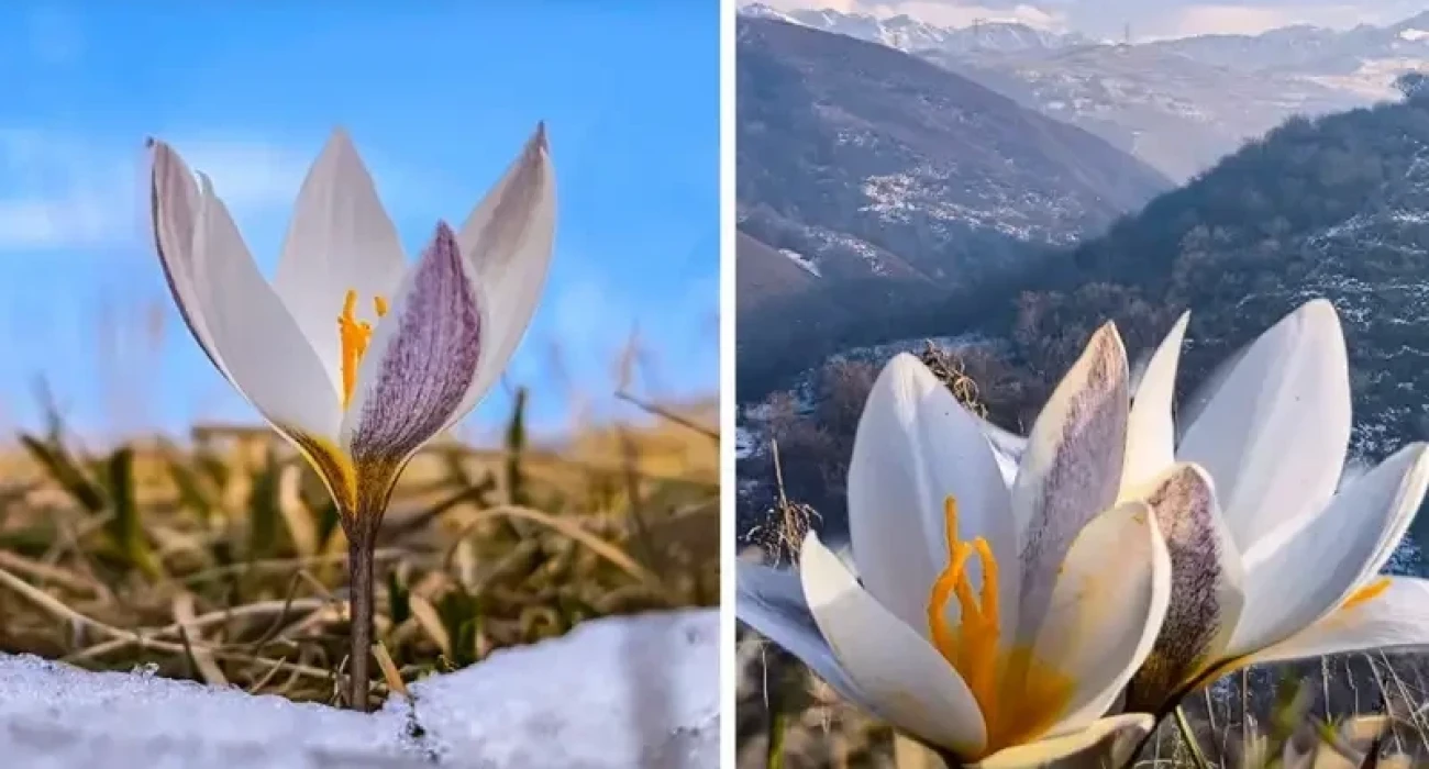 Весьма почтен. Цитаты про единство. Почтительный возраст или почтенный. Задачи от великих математиков. Величайшие задачи математики.