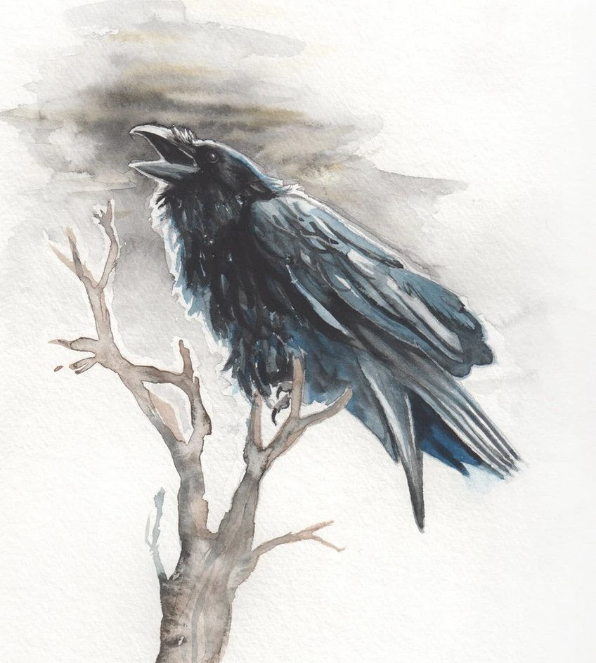 Шүкіршілік