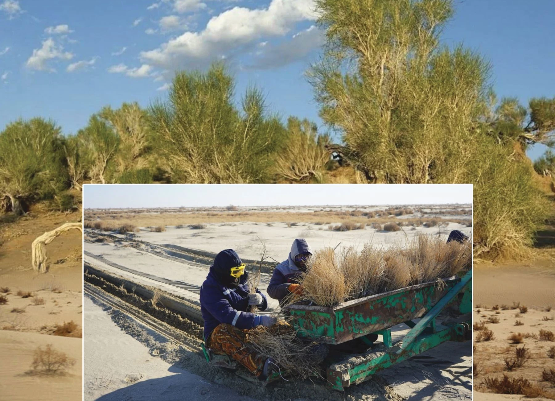 Құрғаған ұлтан қараусыз қалмайды