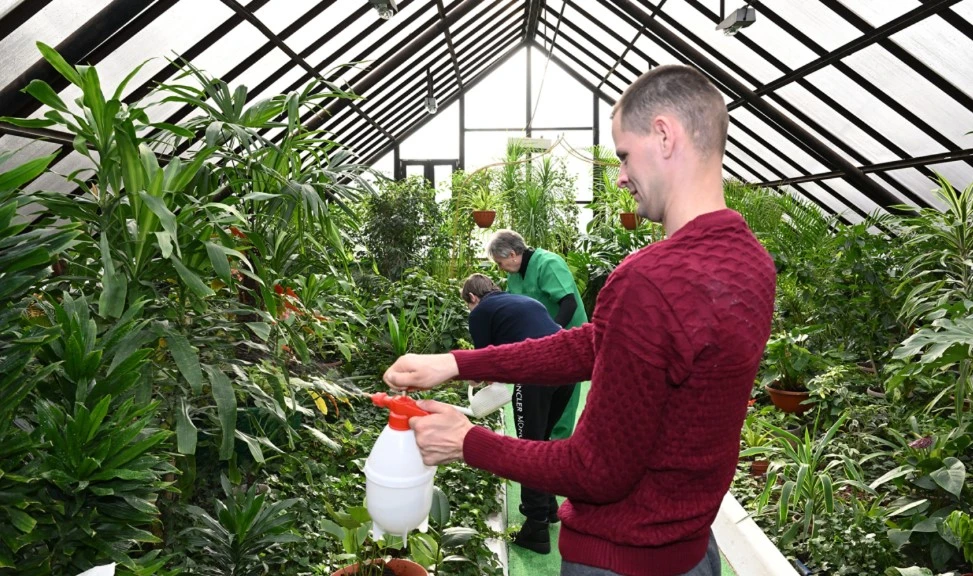 Риясыз қамқорлық