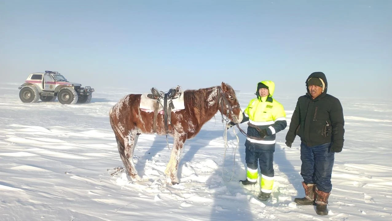«Төрт күннен кейін табылды». Боранда адасқан малшы итінің арқасында аман қалды