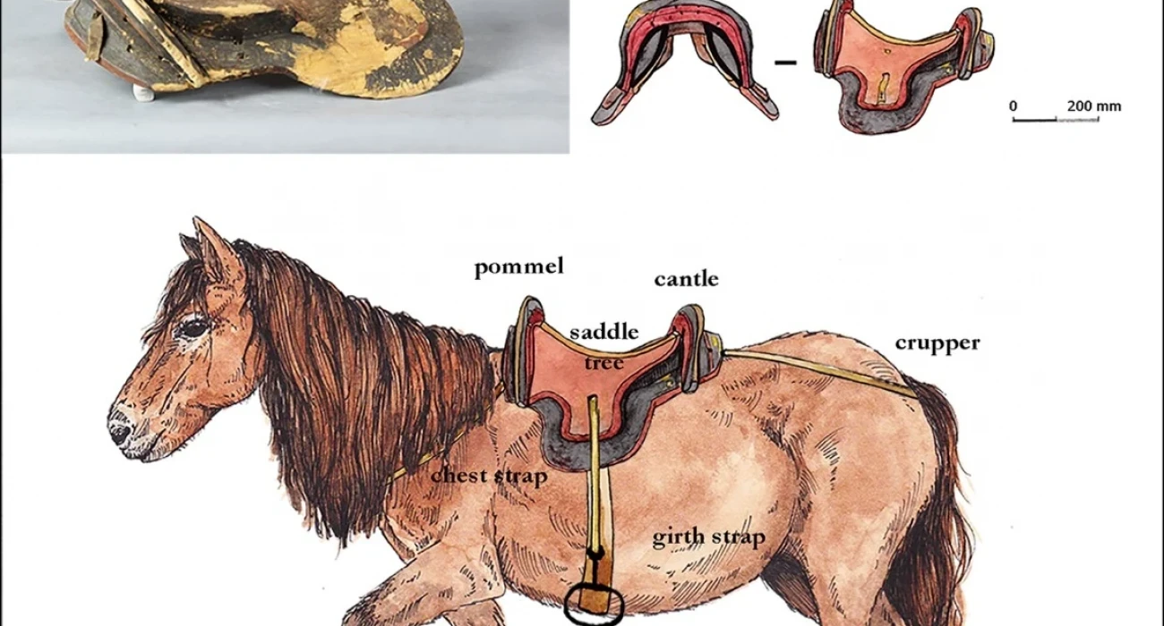 Порно ұлы семіз ананы трахает