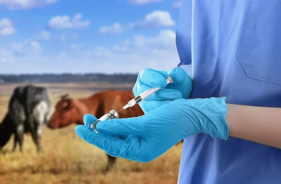 Жаңа құрылғылармен жабдықталады