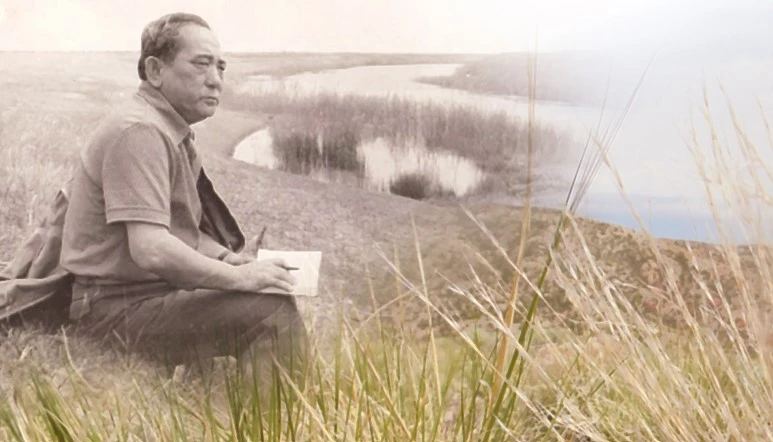 Екі ши мен екі-үш үй