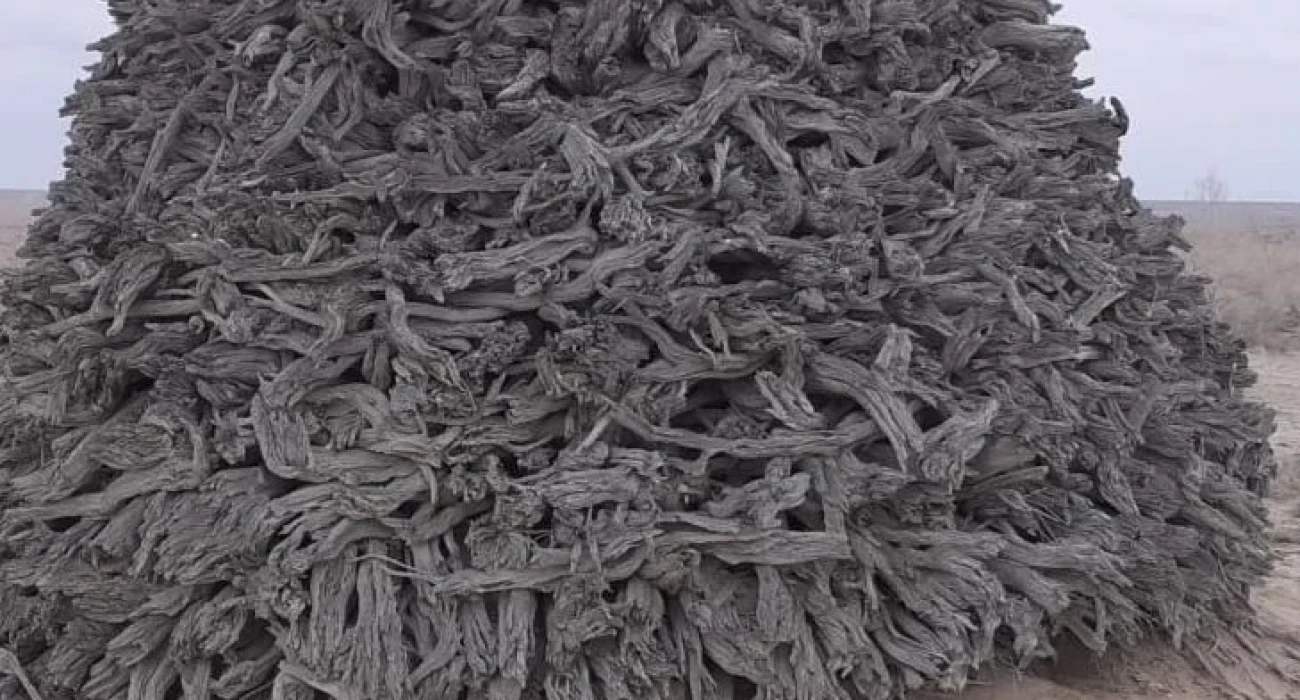 Порно көршіге шайға барды