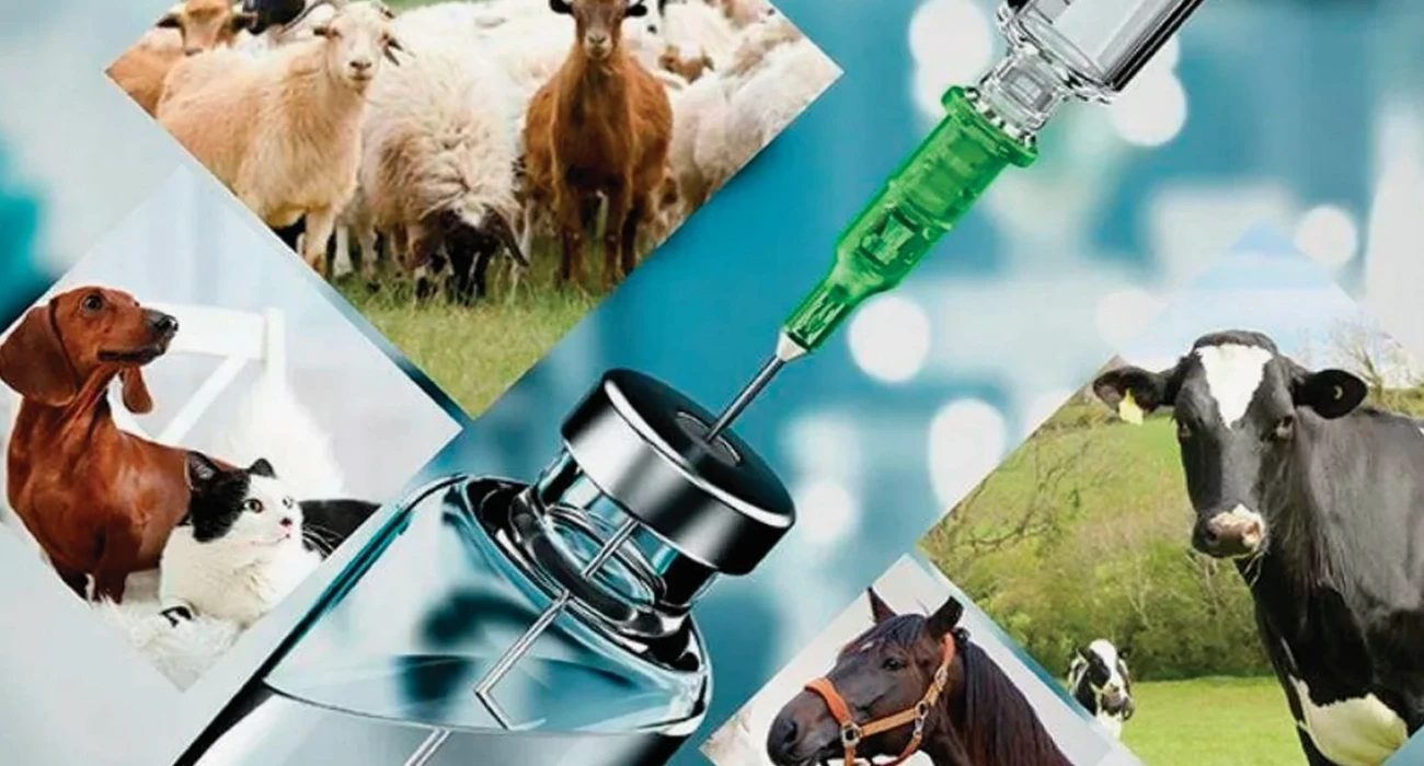 Приманова сөре диаграммасы