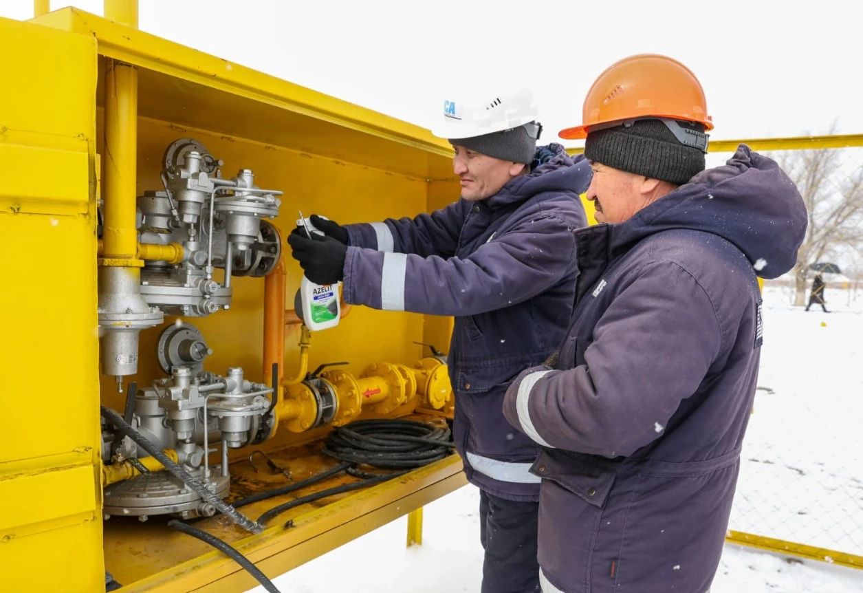 Ақкөлдіктердің қуанышы