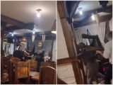 Қарағандыдағы дәмханалардың бірінде жаппай төбелес болды (видео)