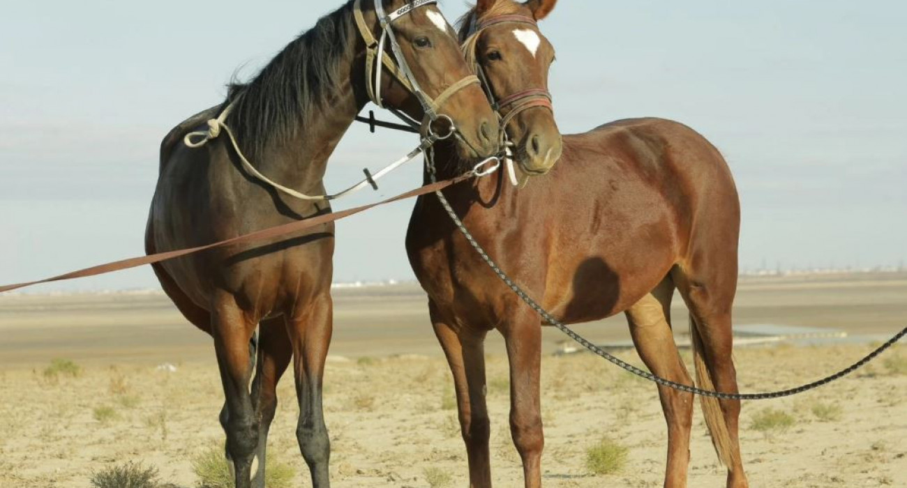 Аяқ фетишінің порно видеолары