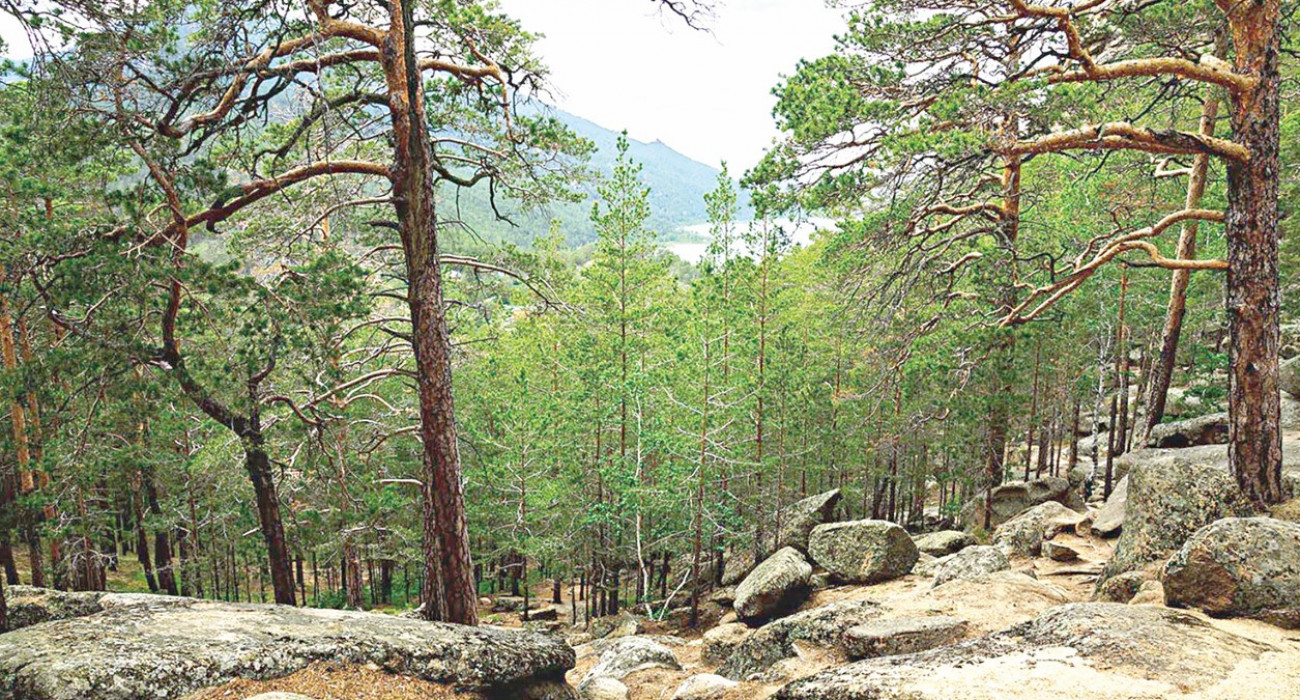 Натача дауыл порно онлайн