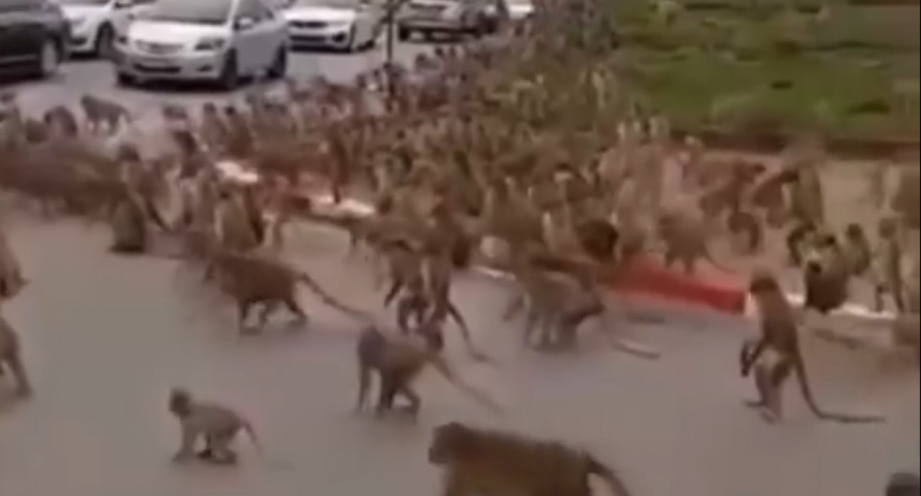 Құлды жалауға мәжбүрлеу (орыс порно)