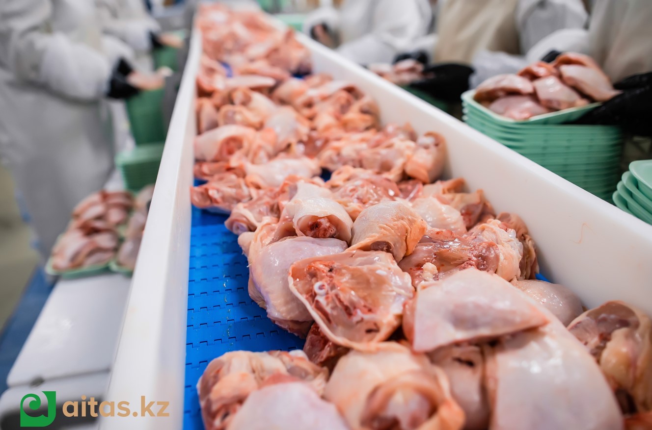 Құс етінің ешкім күтпеген қаупі анықталды