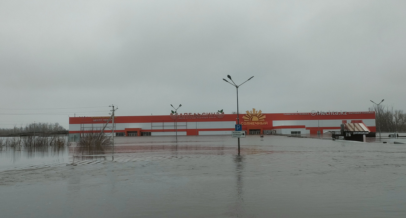 Қыздардың жыныстық қатынасқа арналған нөмірлері Порно гиф писс