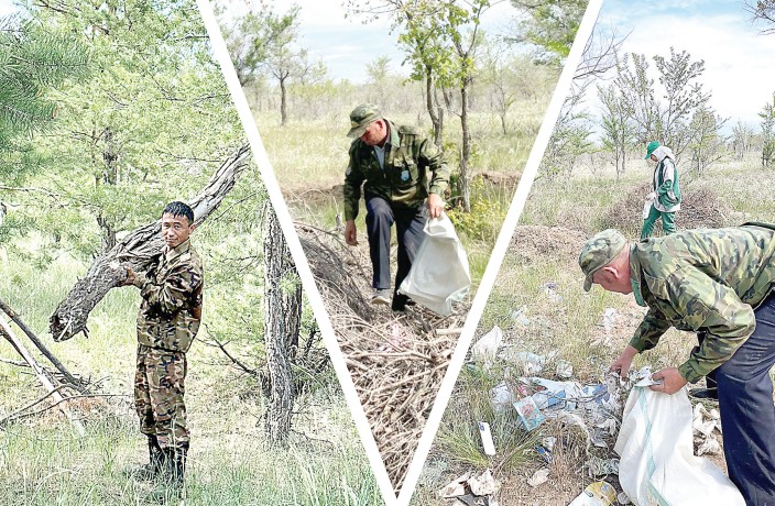 Орманшылар қолғабысы