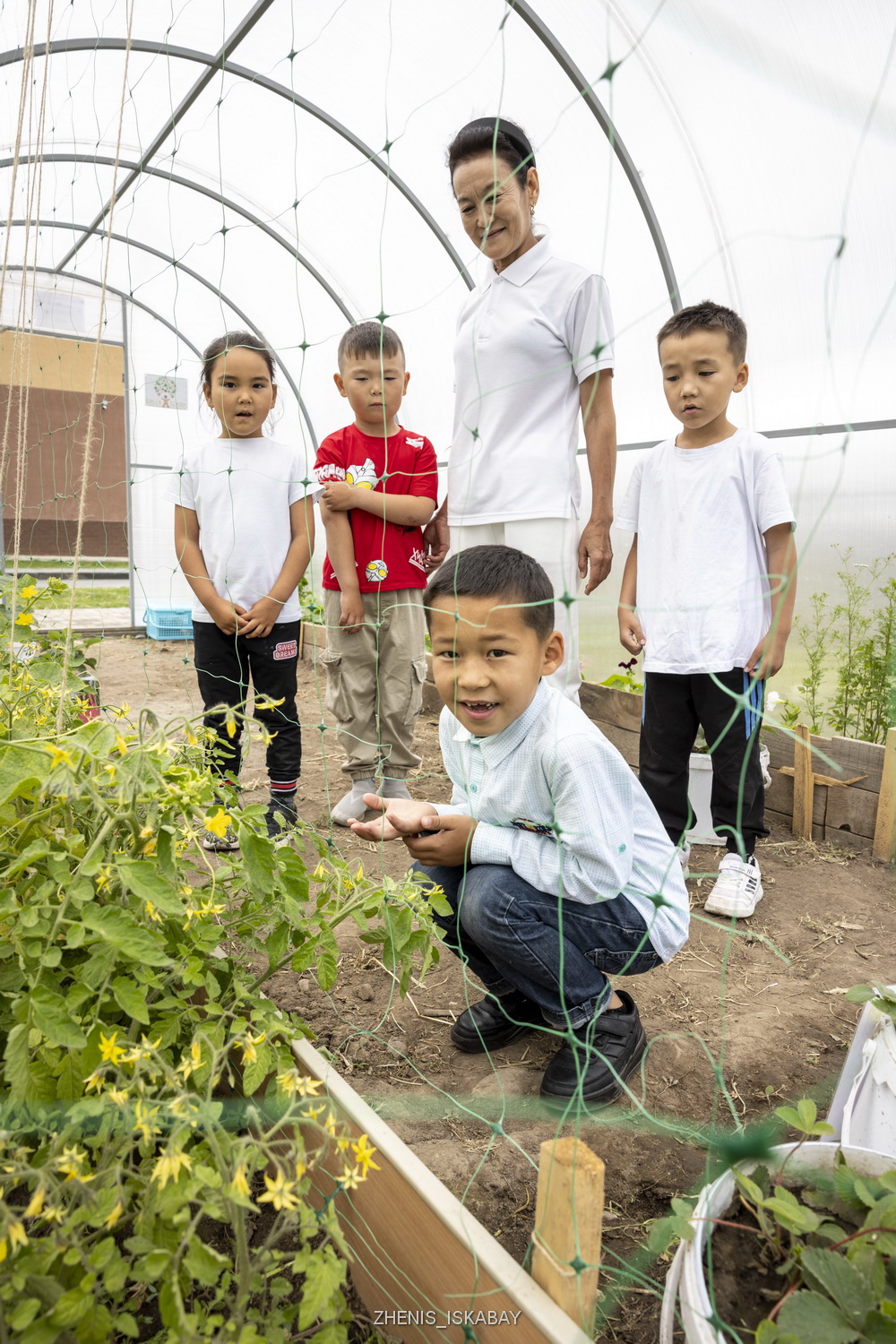 Бағбан балақайлар