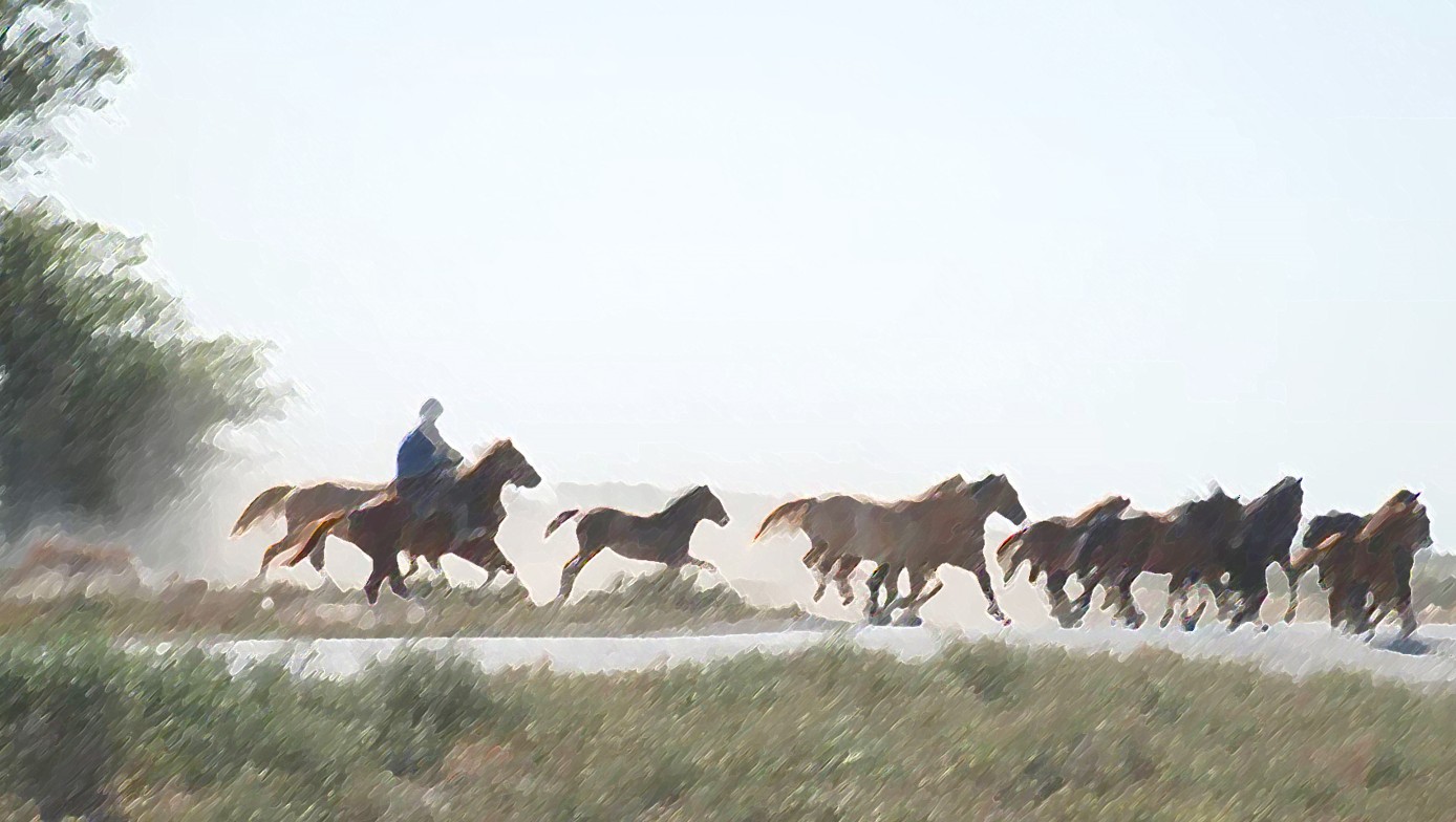 Өз-ағамның өнегелі баласы