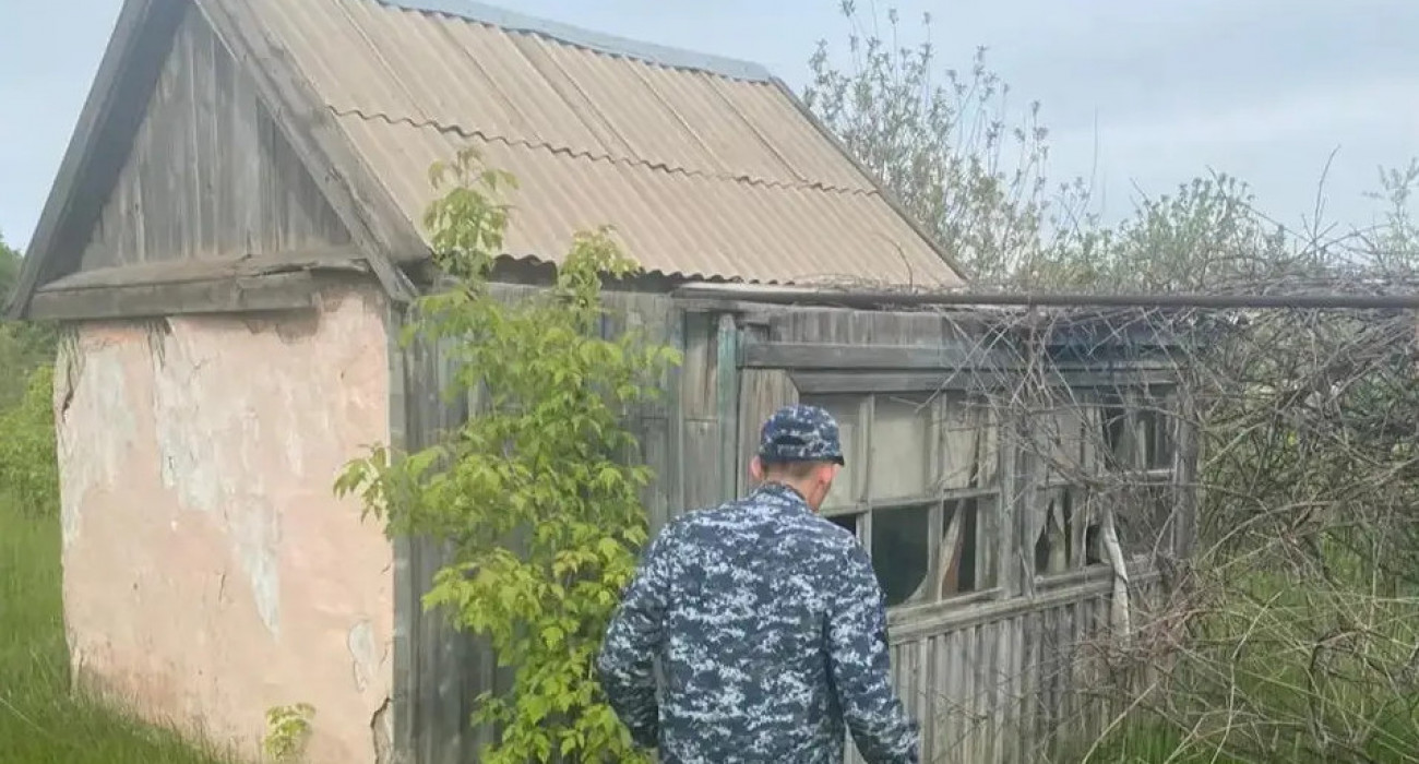 GTA секс ойыны туралы бейне