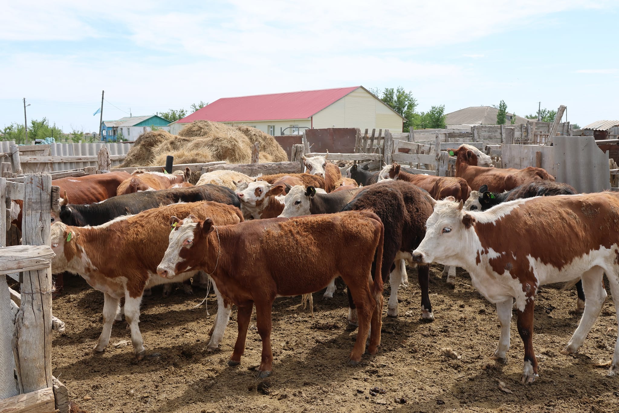 Бас аман, мал-мүлік түгелденсе...