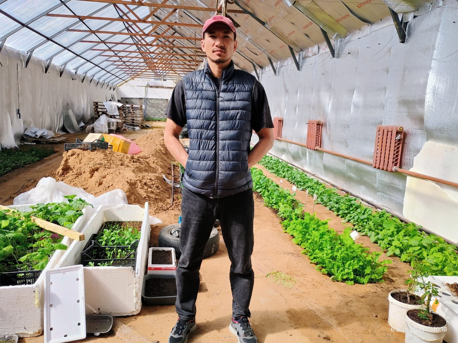 Дарханның жылыжайы