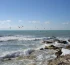 Каспий теңізіне соңғы бес жылда 58 адам батып кеткен